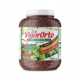 VIGORORTO CONCIME GRANULARE 1,3 KG VIGORORTO CONCIME GRANULARE 1,3 KG