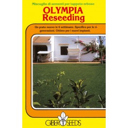 GIBER SEEDS OLYMPIA RESEEDING 1 KG GIBER SEEDS OLYMPIA RESEEDING 1 KG